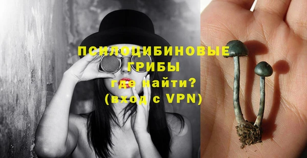 бошки Балахна