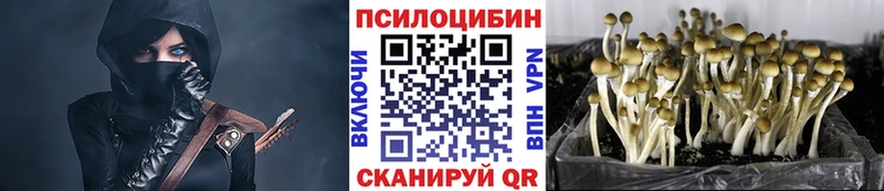 Псилоцибиновые грибы Magic Shrooms  Певек 