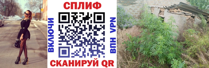 Марихуана сатива  Певек 